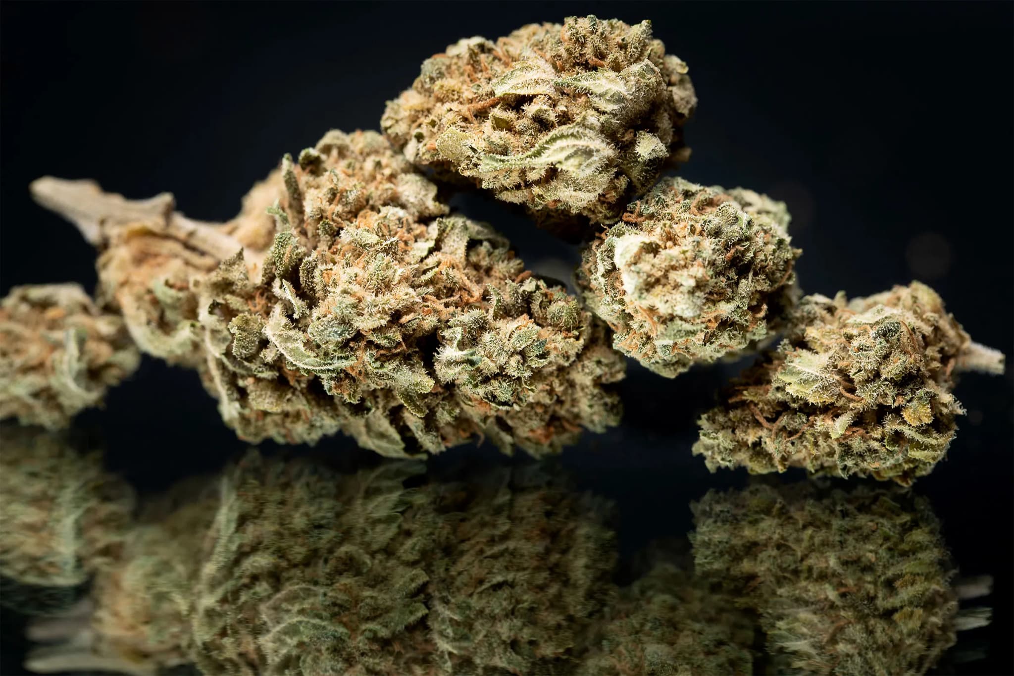 America’s Trusted 420 Store: Why We’re the Best Online Marijuana Dispensary