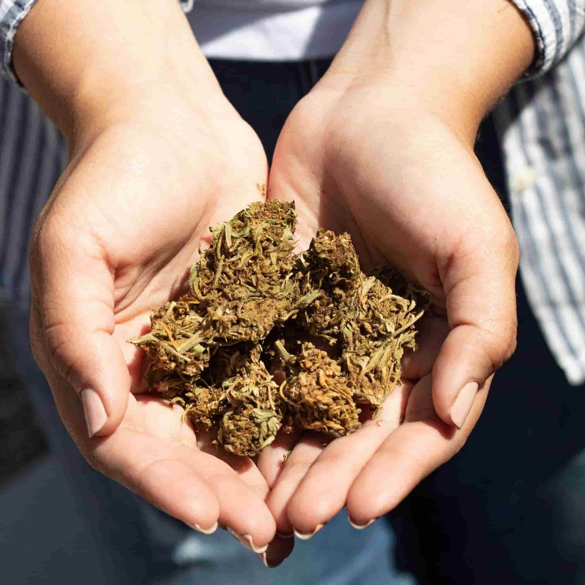 Buy Delta 9 Flower Online from Delta 8 THC Austin – Your Trusted National Dispensary