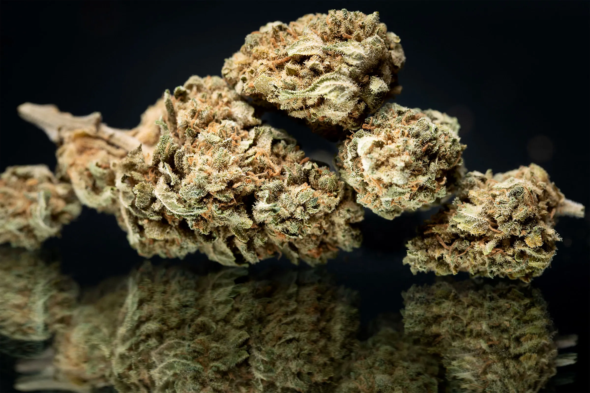 America’s Trusted 420 Store: Why We’re the Best Online Marijuana Dispensary