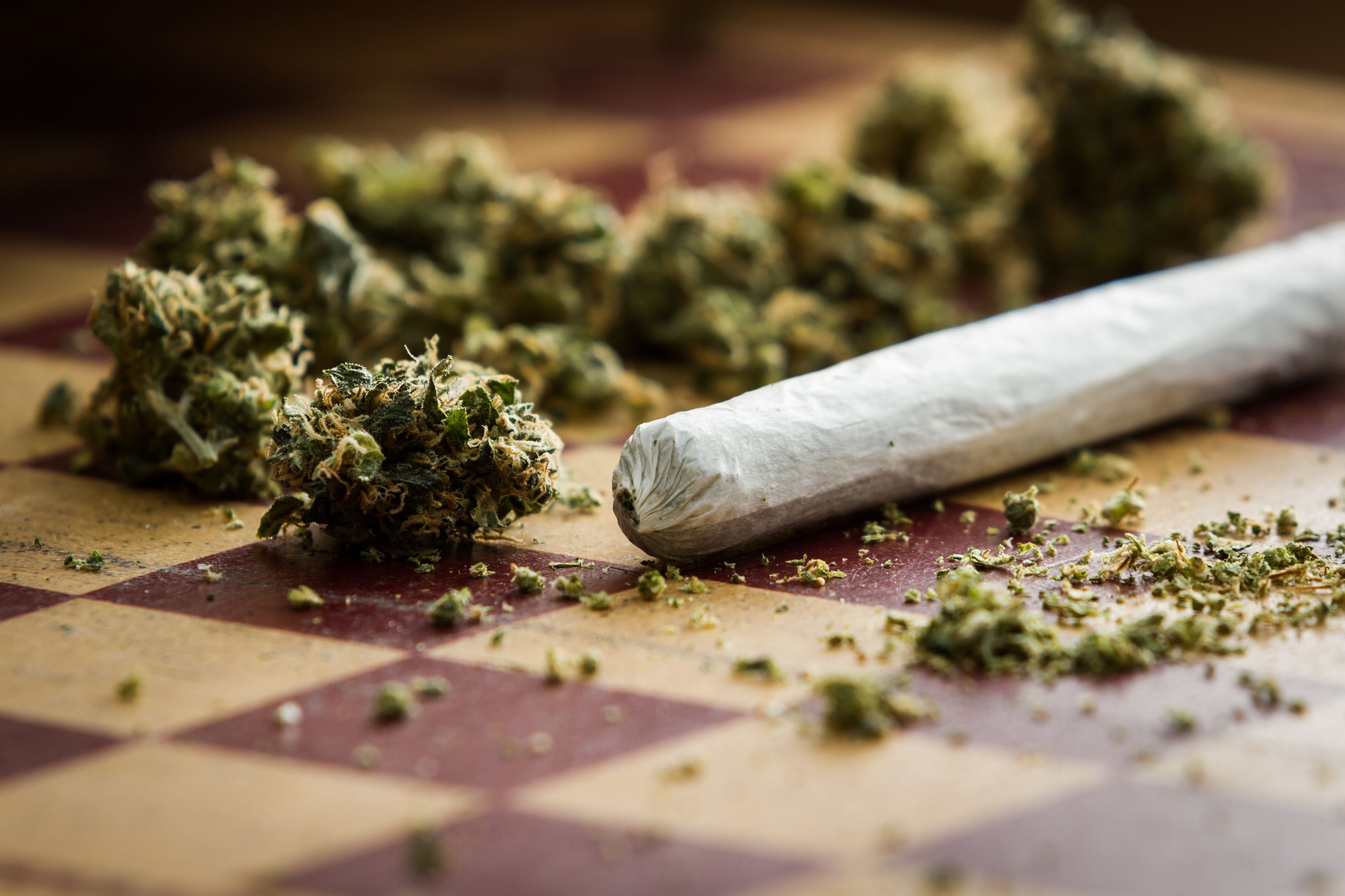 Buy Pre-Rolled Joints Europe – Understanding Cannabis Culture, Convenience, and Legal Trends