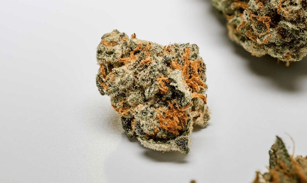 Hand-Selected CBD Kush: Ensuring the Best for Every Client