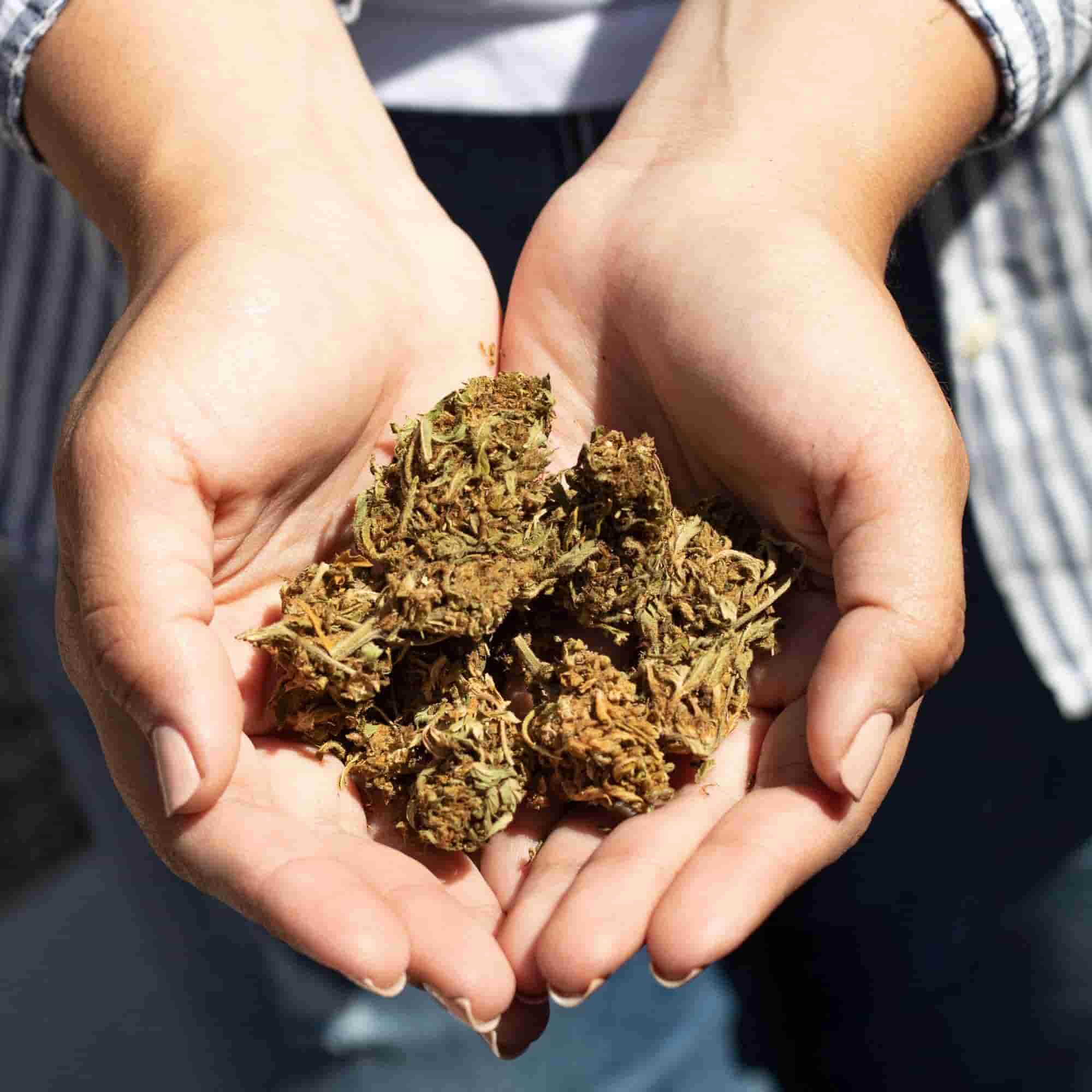 Buy Delta 9 Flower Online from Delta 8 THC Austin – Your Trusted National Dispensary
